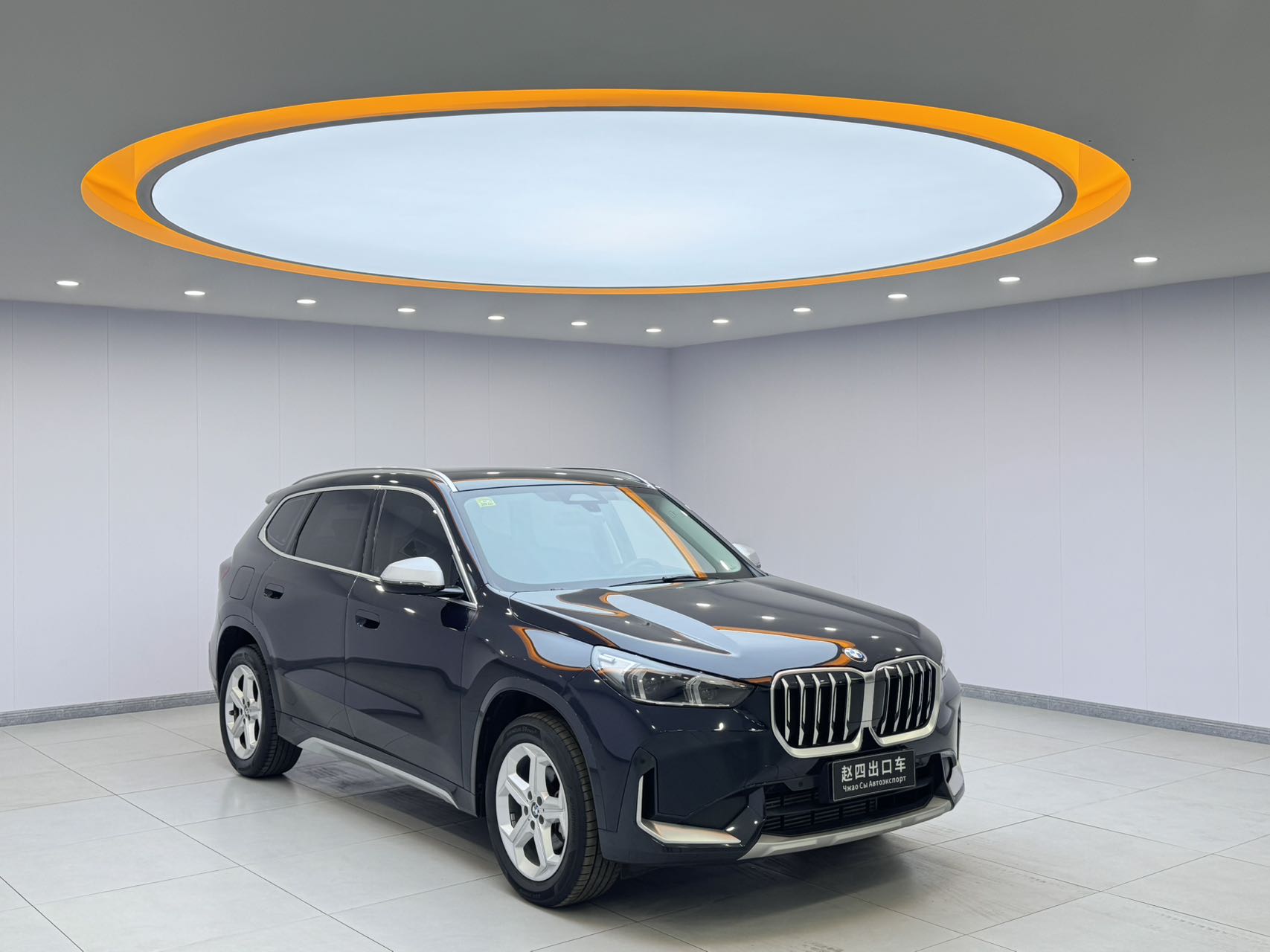 BMW X1 sDrive20Li X