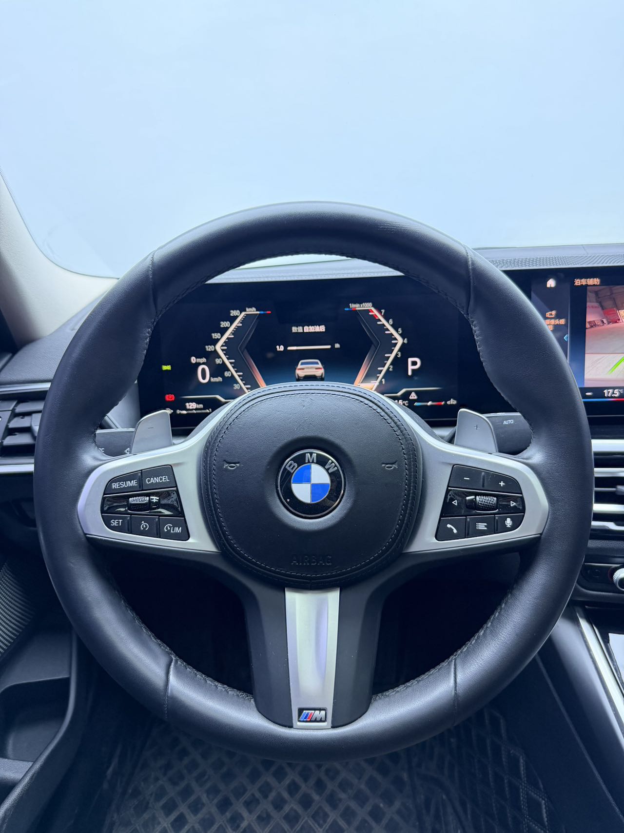 BMW 3 Series 320Li M Sport