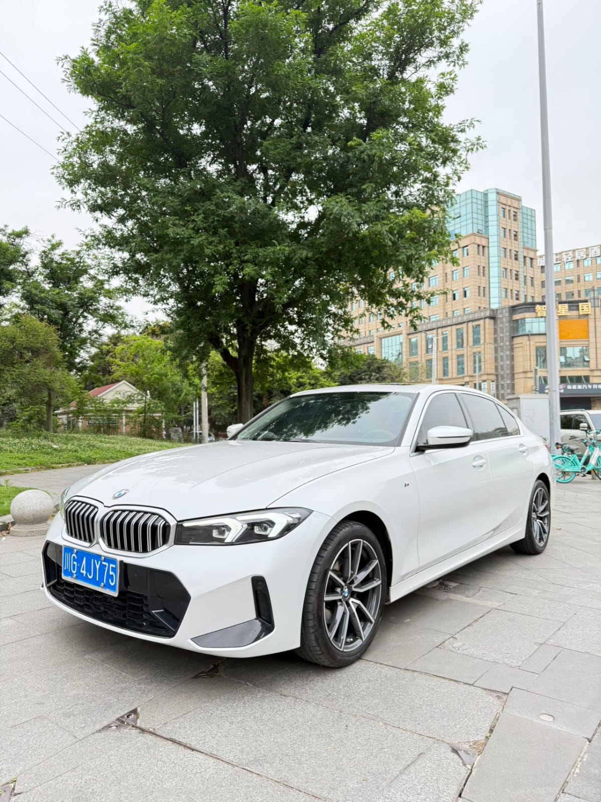 BMW 3 Series 320Li M Sport
