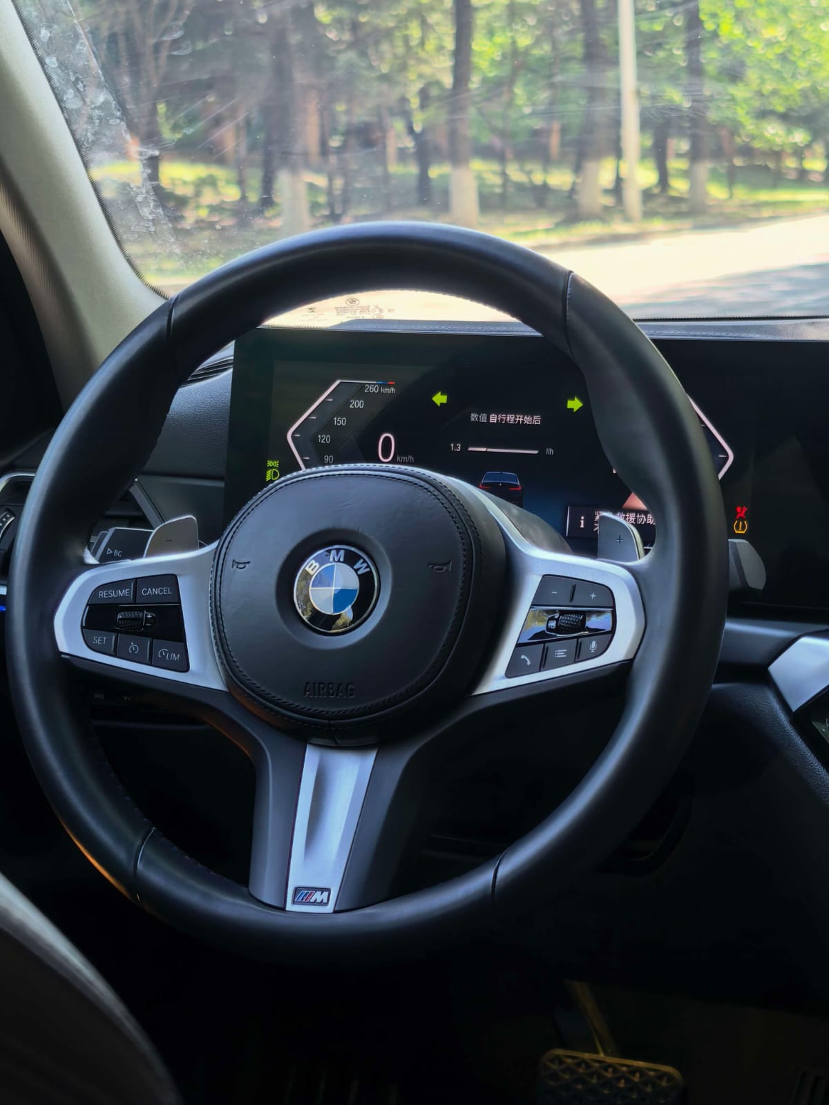 BMW 3 Series 320Li M Sport