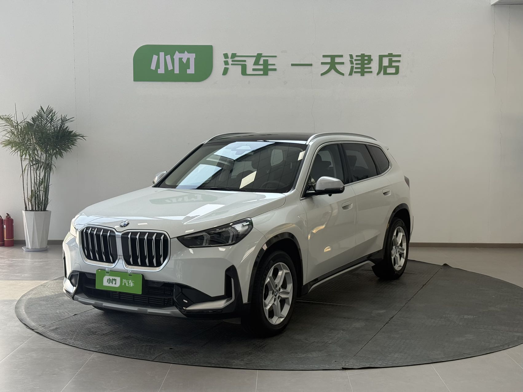 BMW X1 sDriveLi X
