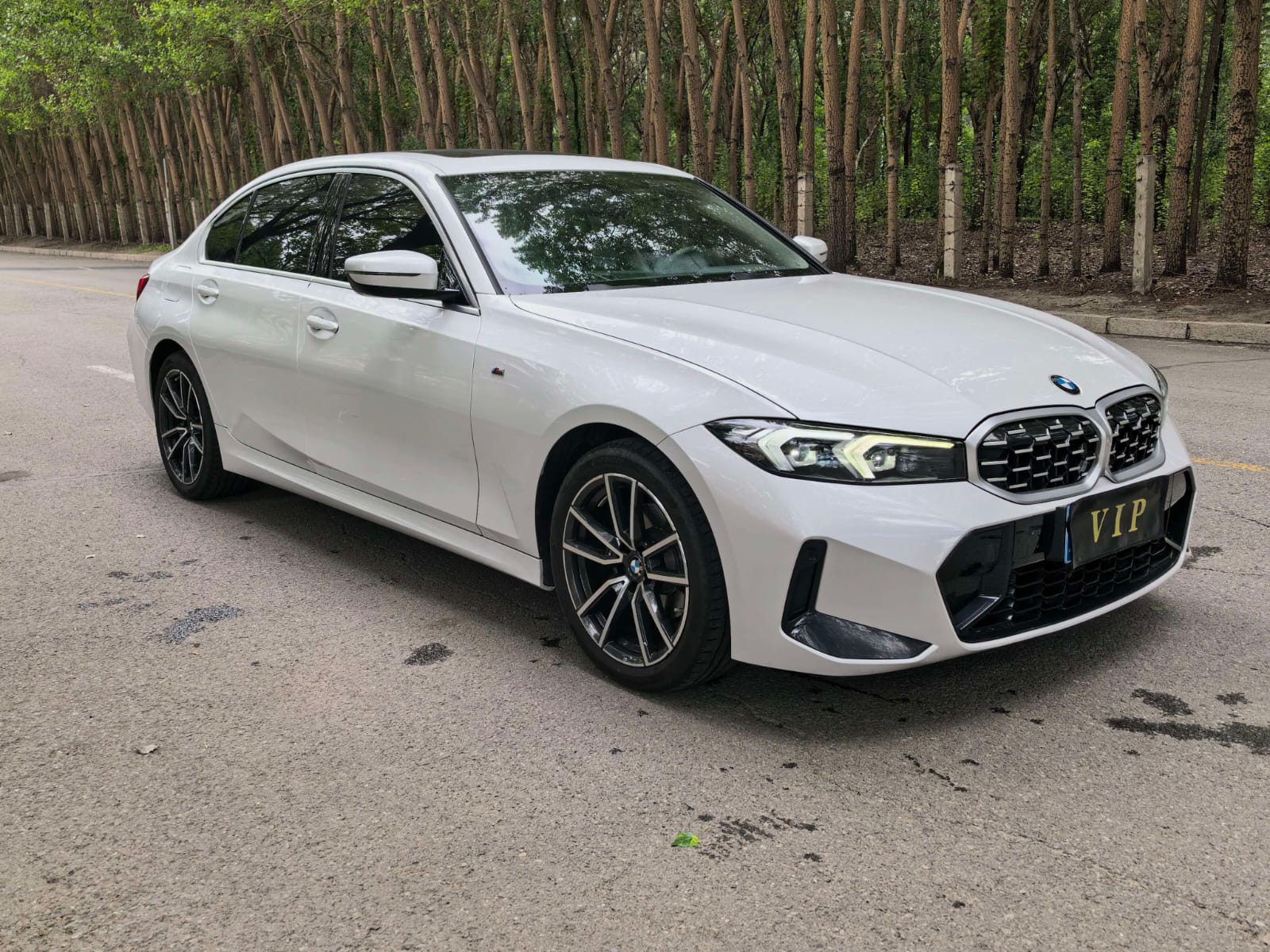 BMW 3 Series 320Li M Sport