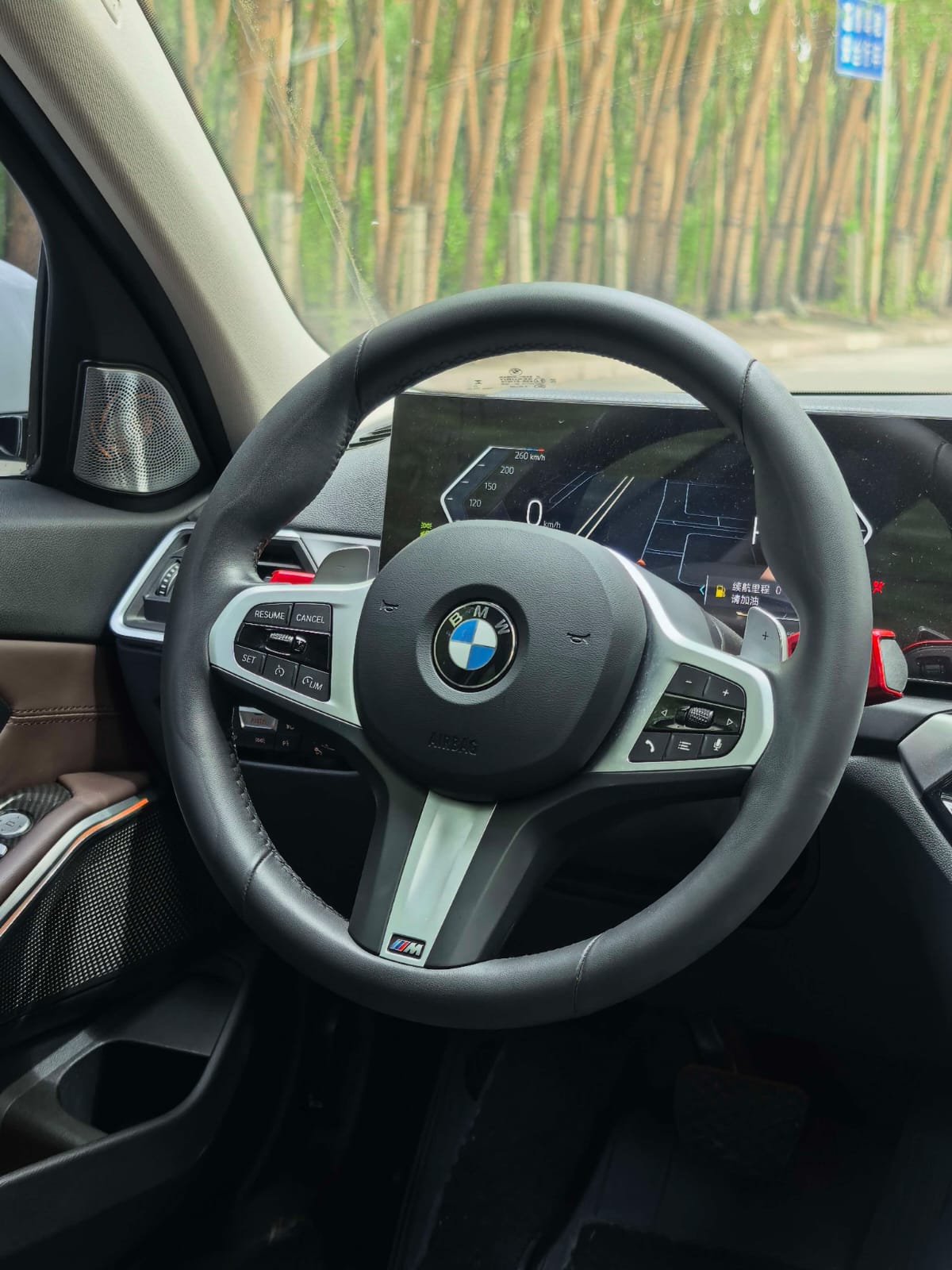 BMW 3 Series 320Li M Sport