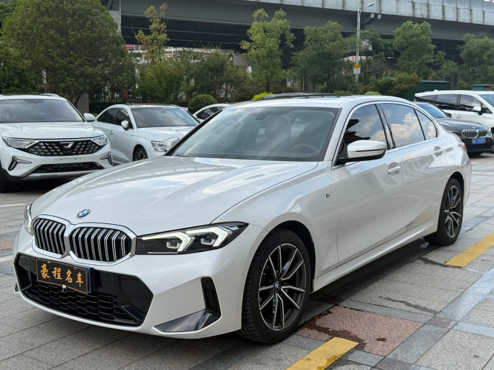 BMW 3 Series 320Li Sport