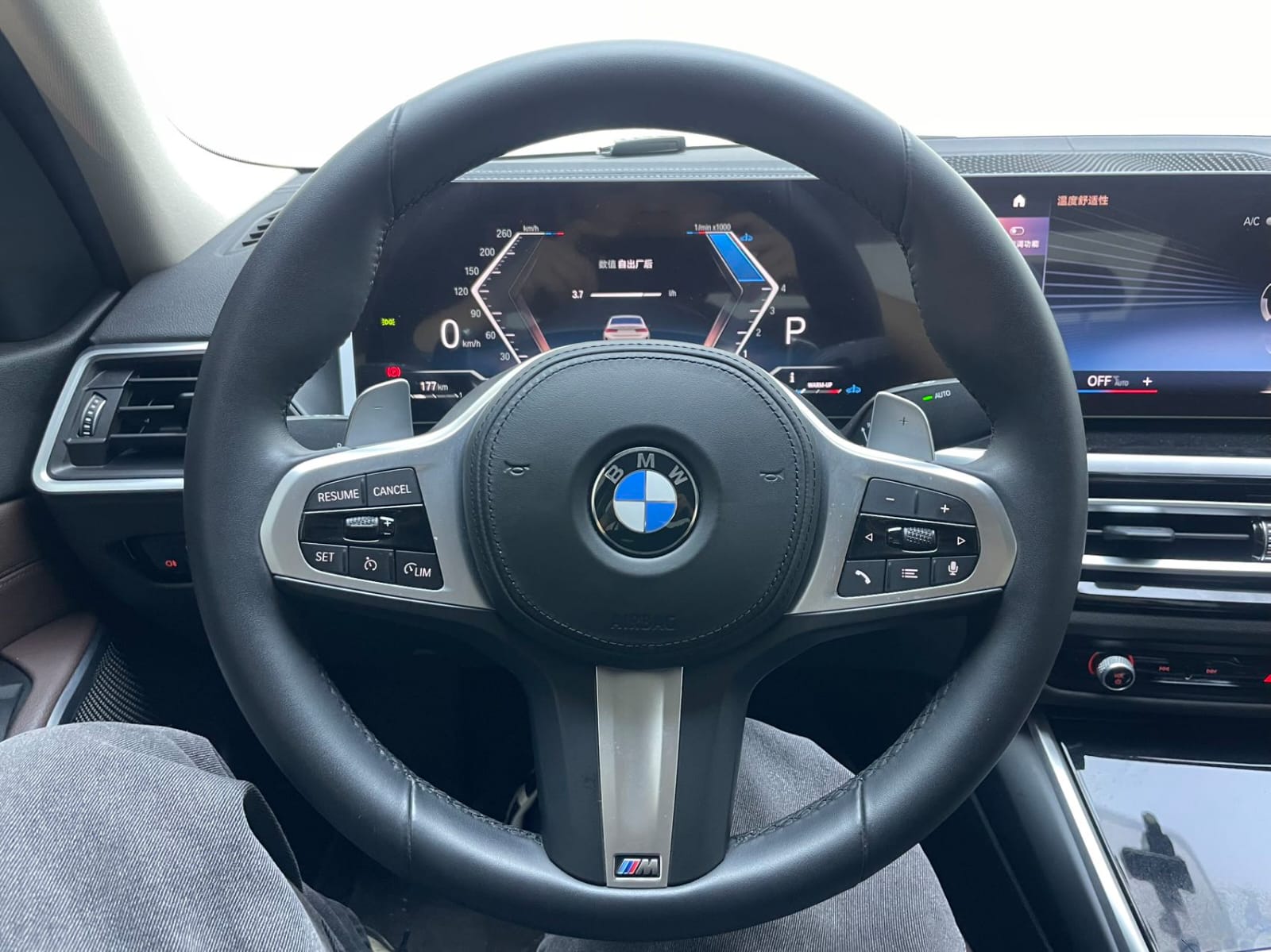 BMW 3 Series 320Li M Sport