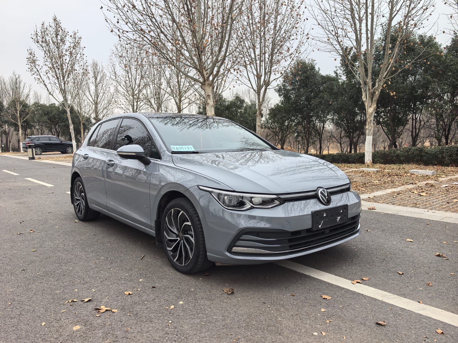 Volkswagen Golf 280TSI DSG Pro