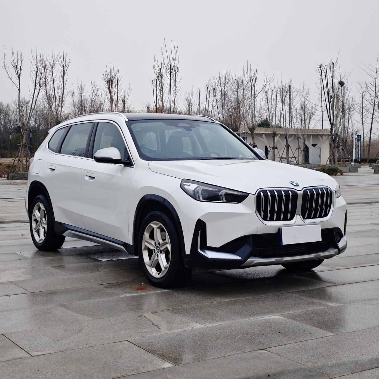 BMW X1 sDrive20Li