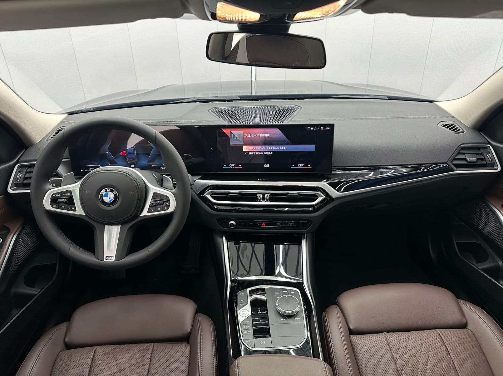 BMW 3 Series 320Li M Sport Package