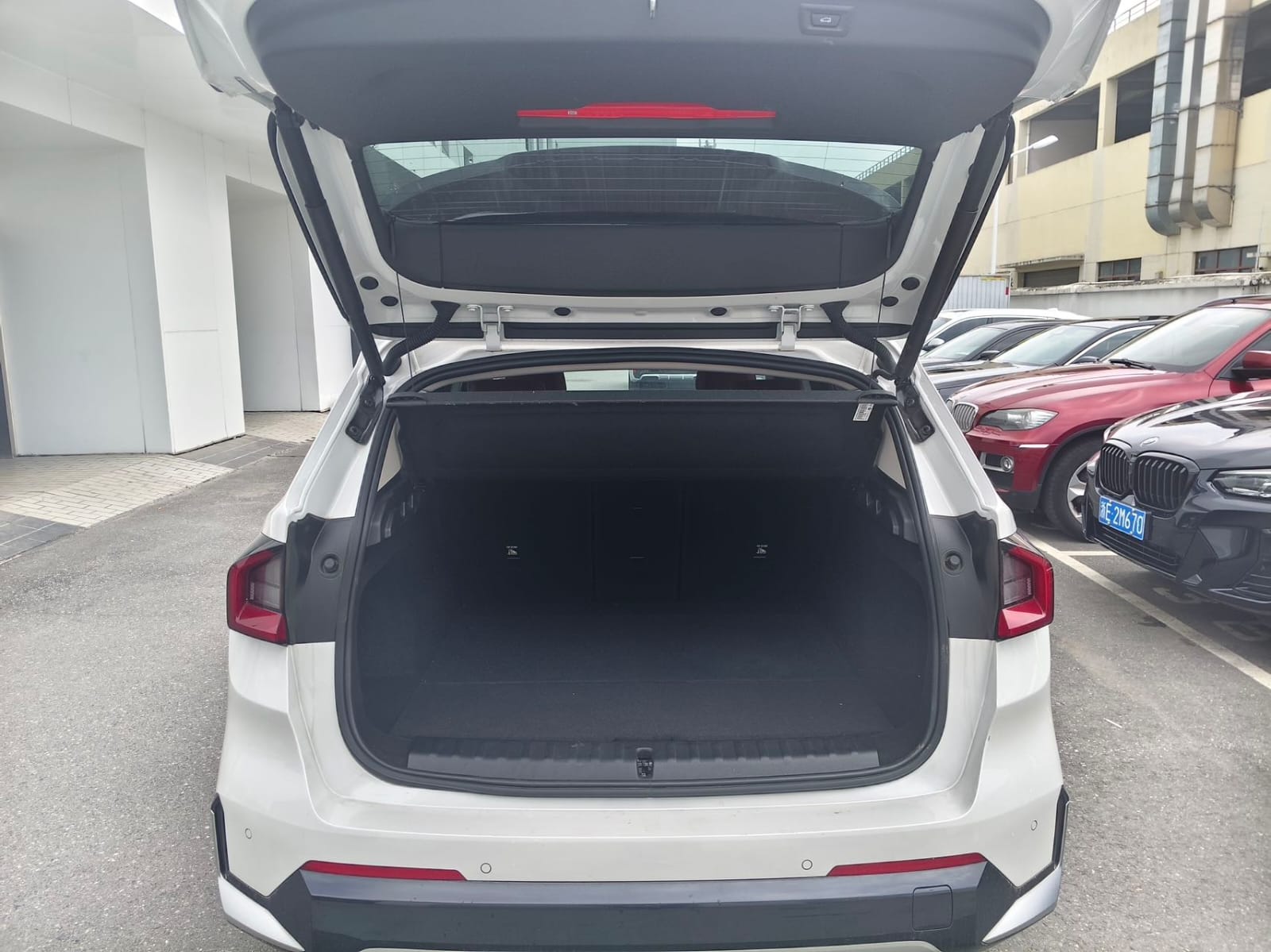 BMW X1 sDrive20Li Design Package