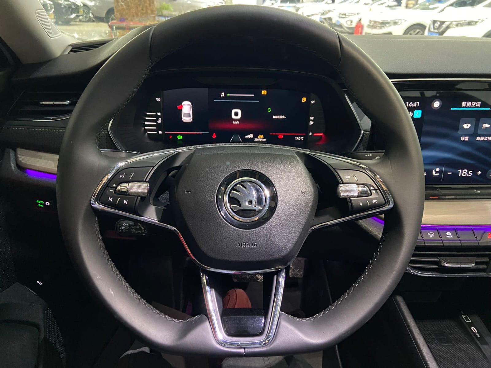 Skoda Octavia PRO 280TSI DSG Deluxe Edition