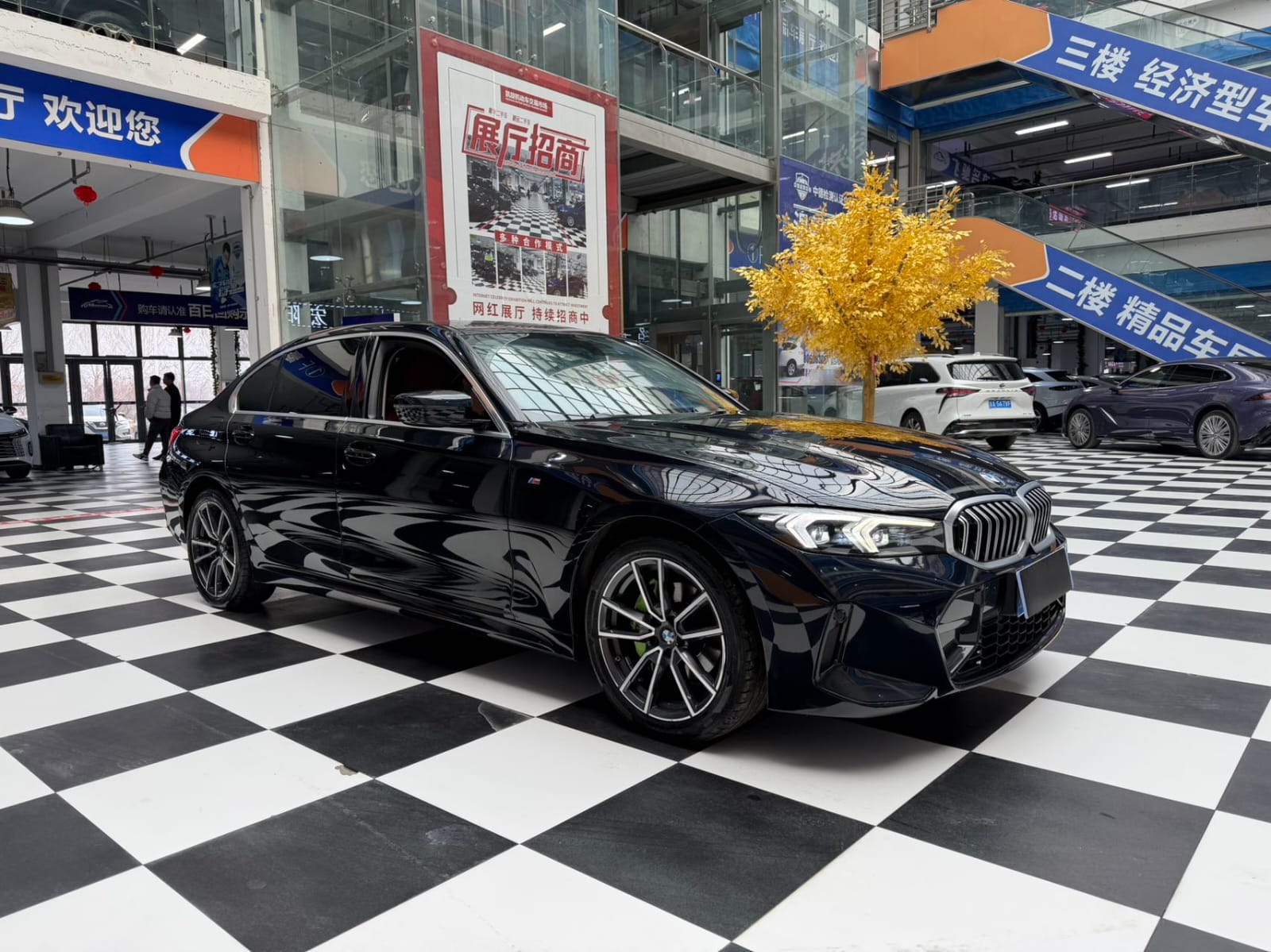 BMW 3 Series 320Li M Sport Package