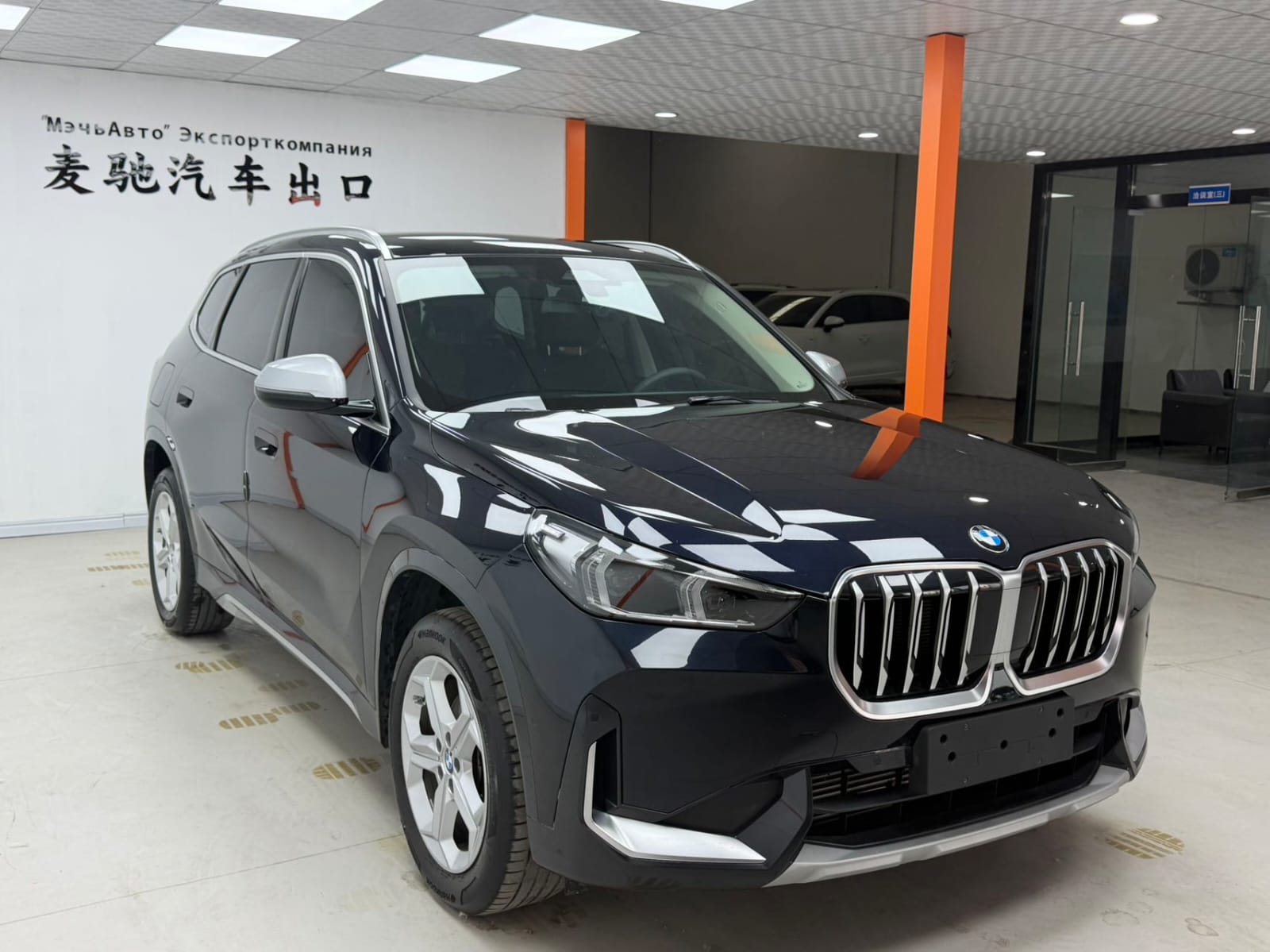 BMW X1 sDrive20Li X