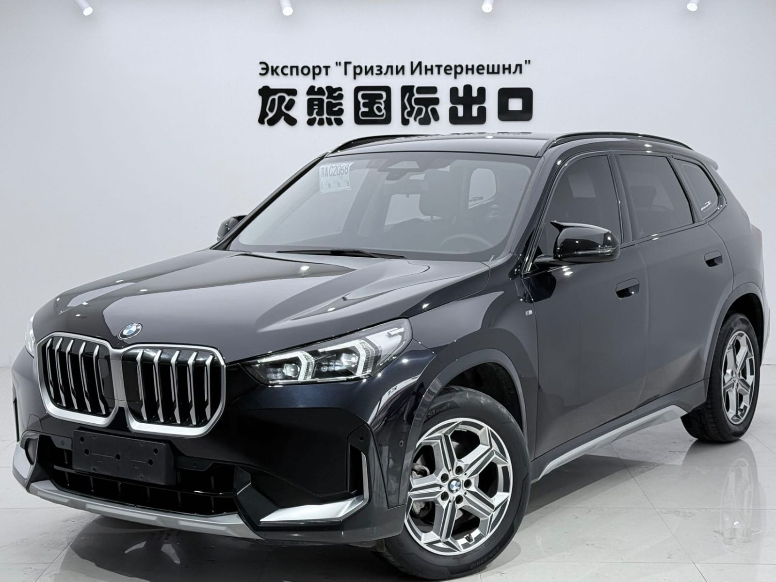BMW X1 sDrive20Li X