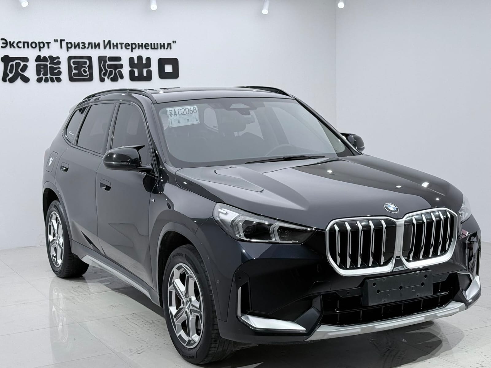 BMW X1 sDrive20Li X