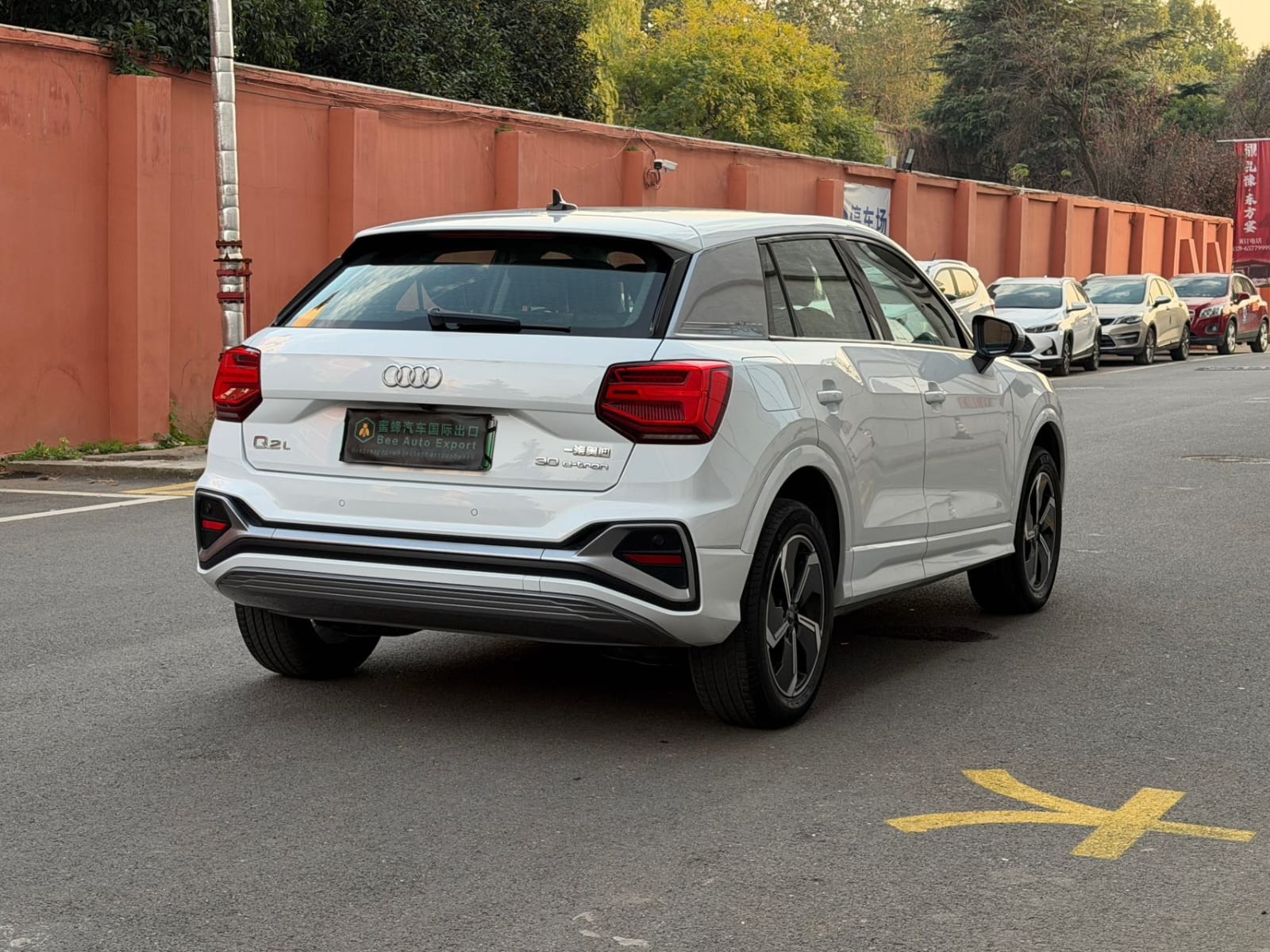 Audi Q2L e-tron