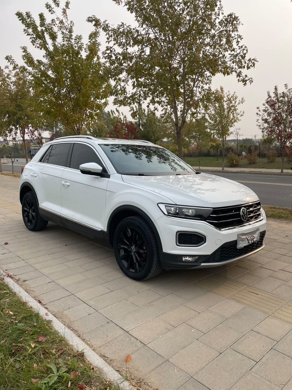 Volkswagen T-Roc Tango 1.4 TSI 280TSI Elite Plus